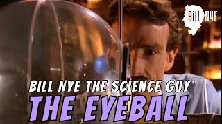 Bill Nye The Science Guy on The Eyeball [upl. by Glover552]