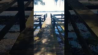 Trimble Park Campground Mt Dora FL [upl. by Maltzman]