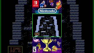 Peak Performance S Rank 1105  Nintendo World Championships NES Edition [upl. by Lock]