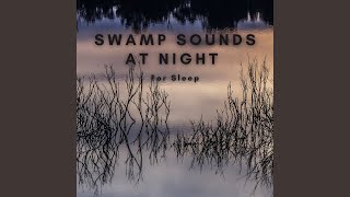 Relaxing Swamp Lands for Sleep [upl. by Liu]