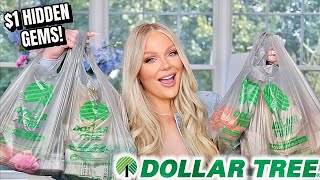 DOLLAR TREE HAUL 2021  1 HIDDEN GEMS YOU NEED new fall items home decor  more [upl. by Thordis]