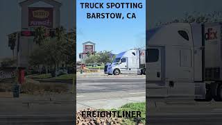 TRUCK SPOTTING 00845  FREIGHTLINER automobile semitrailer trucking [upl. by Cassaundra]