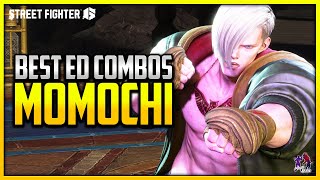 Best ED Combos  ▰ Momochi Absolutely Amazing ED  【Street Fighter 6 Season 2】 [upl. by Ellerahc]