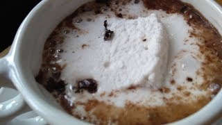 Hot Chocolate  Hot Chocolate Recipe [upl. by Kendrah423]