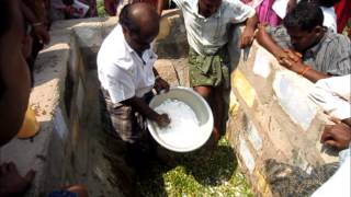 Iamwarm framers training for silage making  உறுகாய் புல் [upl. by Rochkind56]