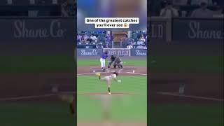 Lowlights 😱⚾️ justbaseball baseball shortsviral mlb itsabaseballthing strikeout homerun [upl. by Shermy]