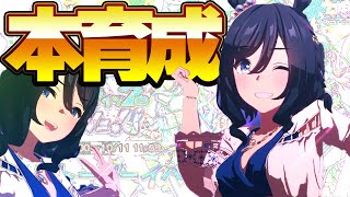 【チャンミ】夏フラッシュ 本育成【ウマ娘 天皇賞秋】 [upl. by Ferd]