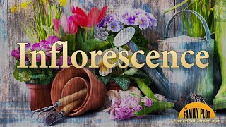 Inflorescence – Garden Glossary [upl. by Yoko]