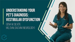 Understanding Your Pets Diagnosis Vestibular Dysfunction [upl. by Yzdnil342]