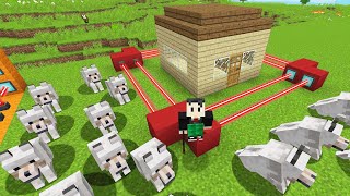 5 ARMADILHAS PARA SALVAR AS OVELHAS NO MINECRAFT [upl. by Nreval]