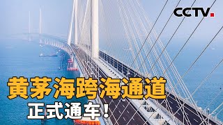 超8000辆车已通过！黄茅海跨海通道运行情况如何？发明专利30件，7大国内首创技术，这个“超级工程”如何建成？ CCTV「新闻11」20241211 [upl. by Helfant]