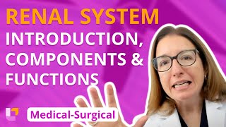 Introduction Components and Functions  MedicalSurgical  Renal System  LevelUpRN [upl. by Follansbee474]