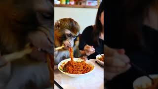 Eating fried noodles again Fried noodles Oh my god it’s so fragrant Monkey brother is here ai [upl. by Balough]