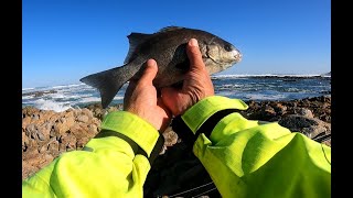 Last day of 7 weeks fishing in Stilbaai [upl. by Mirabelle]