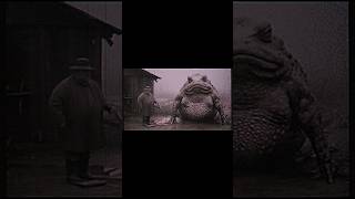 Curious man walks up to giant toad toad croaks man is then scared nightmare scary toast ai [upl. by Werdnael959]