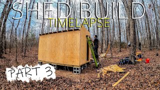 Shed Build Timelapse Part 3  Sheathing amp Roof  Series of complete build 12X8 shed in the woods [upl. by Michaella]