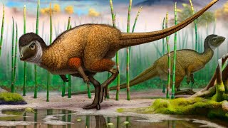 Top 10 Largest Ornithischian [upl. by Ecnedurp]