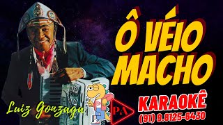 Karaokê  Ô Véio Macho Xote Luiz Gonzaga Com Letra [upl. by Trammel327]