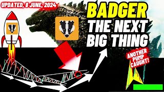 Badger Dao Crypto Coin Is The Next Big Thing  Updated 8 June 2024 [upl. by Harden]