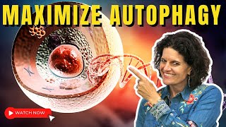 AUTOPHAGY  5 Keys to Maximize Autophagy Benefits [upl. by Rot863]