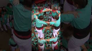 Els Castellers de Vilafranca guanyen el Concurs de Castells 2024 [upl. by Mikes]