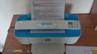 IT Review Clip  HP Deskjet Ink Advantage 3775 [upl. by Ludmilla700]