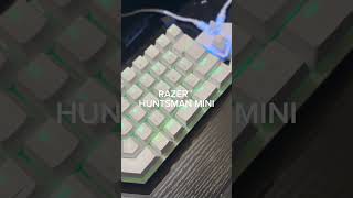 RAZER™ HUNTSMAN MINI • MERCURY [upl. by Beitch]