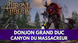 Throne and Liberty Gameplay FR  Lets Play  Donjon Grand Duc Canyon du Massacreur [upl. by Bridwell868]