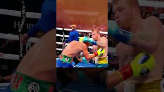 Canelo vs cocky saunders boxing caneloalvarez canelomunguia [upl. by Mcneil]