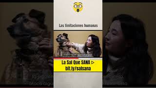 Las limitaciones humanas [upl. by Jansen314]