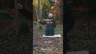 Hunde vermenschlichen hundeerziehung hundetraining [upl. by Nameerf]