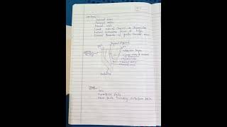 Femoral Triangle  Femoral Canal Anatomy  BPT  care physio2  Notes [upl. by Aivatnuhs]