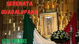 2 CANTOS PARA LA VIRGEN DE GUADALUPE  A ti Virgencita y Dios bendiga este día Autor Pike Romero [upl. by Rawdan]