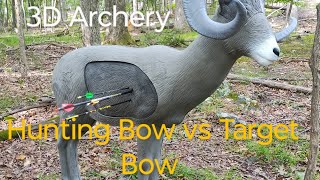 3D ARCHERY BOW SHOOT WITH FRIENDS [upl. by Andryc149]