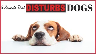 5 Sound That Disturbs Dogs amp Hate All Time [upl. by Eichman59]