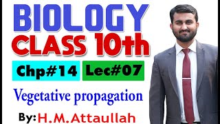 Vegetative propagation  Chapter  14  Biology Class 10th  Lec 07 [upl. by Elletnahs]