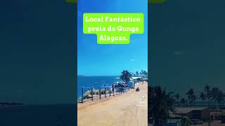 Alagoas praias lindas [upl. by Reilly]