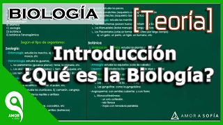 Biología │Introducción ¿Qué es la Biología MEJORADO [upl. by Carita]