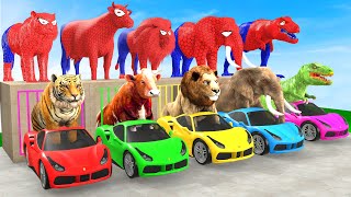 5 Animals Cow Elephant Dinosaur Tiger Lion Guess The Right Wall with LONG SLIDER Crossing Fountain [upl. by Gerius]