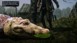 legendary alligator found in van horn rdr2 online [upl. by Wynn]