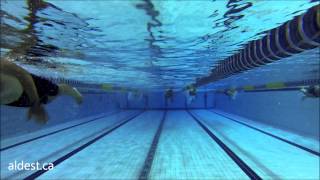 Olympic Swimming Pool Montreal Training Pool [upl. by Riccardo]