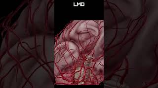 Angiologia 4  Movimento  Programa Anatomia 3D Software shorts anatomy biology [upl. by Lejeune758]