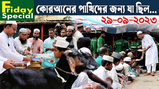 921 আজকের মেহমানদারী ছিল কোরআনের পাখিদের নিয়েরই মানিক চিত্রপুরী RIManikChitrapuriKrishichitra [upl. by Higginson]