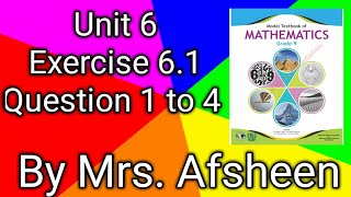 Maths grade 9 Unit 6 Exercise 61 Question 1 to 4 new book afsheeneducation [upl. by Culhert]