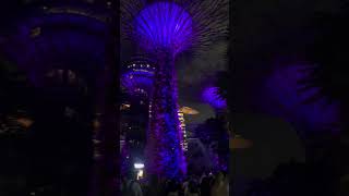 Gardens by the bay Singapore [upl. by Llerrem]