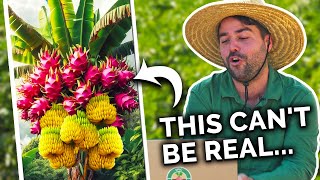 Gardeners React to Best amp WORST Garden Hacks [upl. by Glendon]