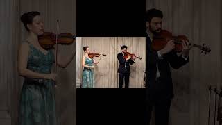 Schwanenlied  Fanny Mendelssohn  The Twiolins live violin live violinist viola [upl. by Lehcor]