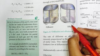 Grahams Law of diffusion  Gaseous State  Class 11 Chemistry  In Tamil [upl. by Arodal]