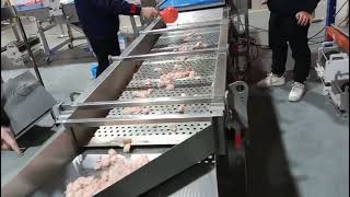 Linear Vibrating Machine machine meatprocessingmachine meatcuttingmachine food foodmachine [upl. by Junette]