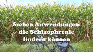 Sieben Anwendungen die Schizophrenie lindern können [upl. by Anillek]